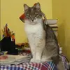 Отзыв от Анфиса Игнатьева